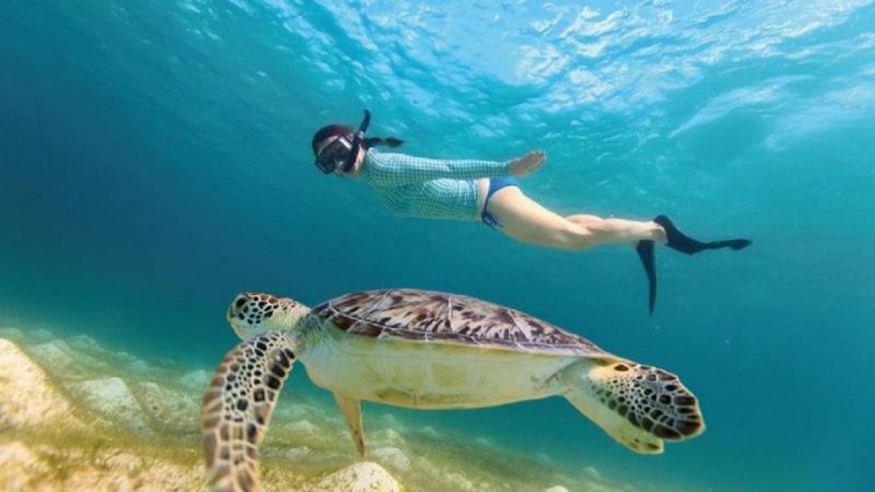 9 9 9 Best Snorkeling in Tulum Guide