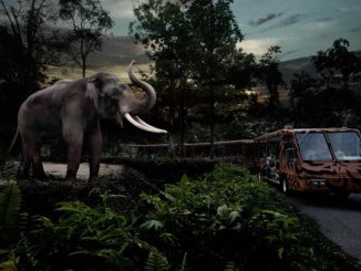 Singapore Night Safari