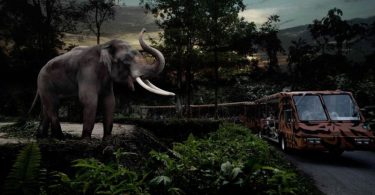 Singapore Night Safari
