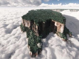 Mount Roraima Helicopter Tour