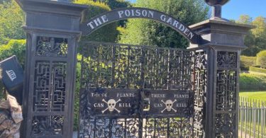 Entrance gate of Alnwick Poison Garden in the UK with black ironwork design and warning signs that read 'These Plants Can Kill' showcasing a unique garden with a focus on poisonous plants, educational tours, and historical significance.