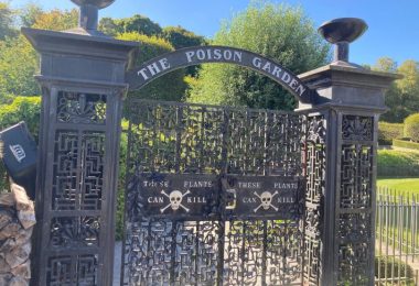 Entrance gate of Alnwick Poison Garden in the UK with black ironwork design and warning signs that read 'These Plants Can Kill' showcasing a unique garden with a focus on poisonous plants, educational tours, and historical significance.