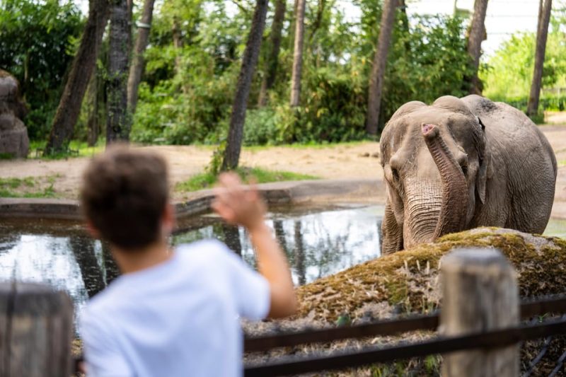 Burgers Zoo