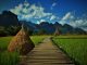 Photo "Best Places to Travel in Asia for a Soulful Journey"