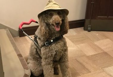 Photo Safari tour guide