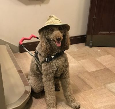 image Photo Safari tour guide