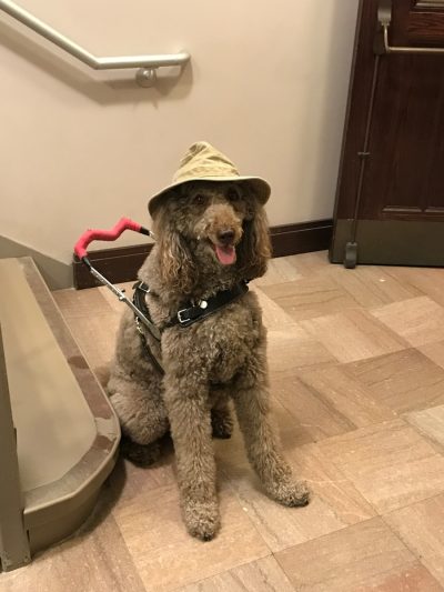 Photo Safari tour guide