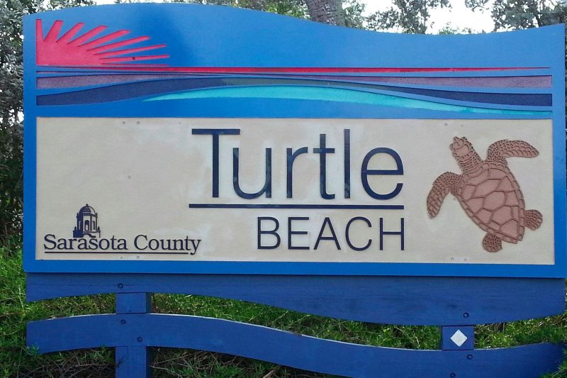 turtle beach