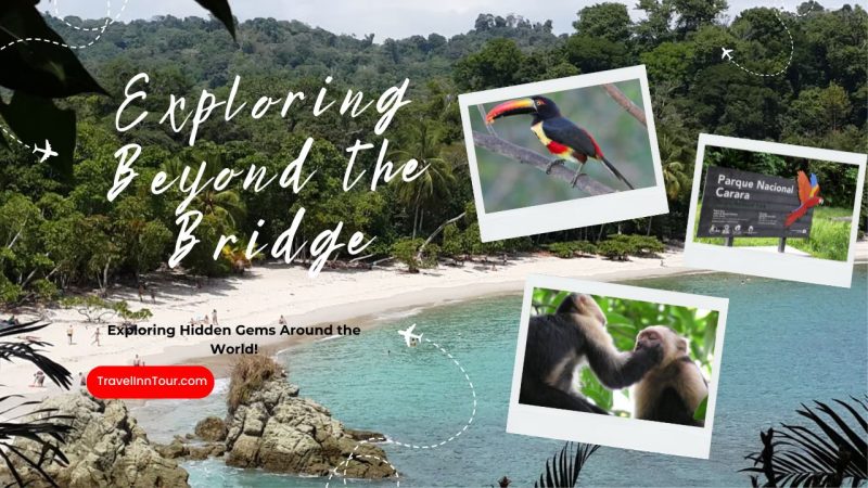 Exploring Beyond the Bridge