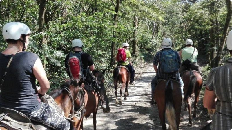 Horseback Riding Best Tours in Guanacaste