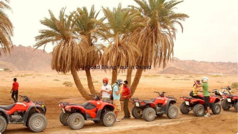 Quad Biking Tour in Dahab