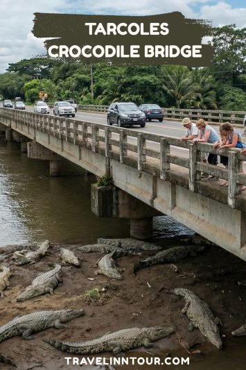 Tarcoles crocodile bridge costa rica