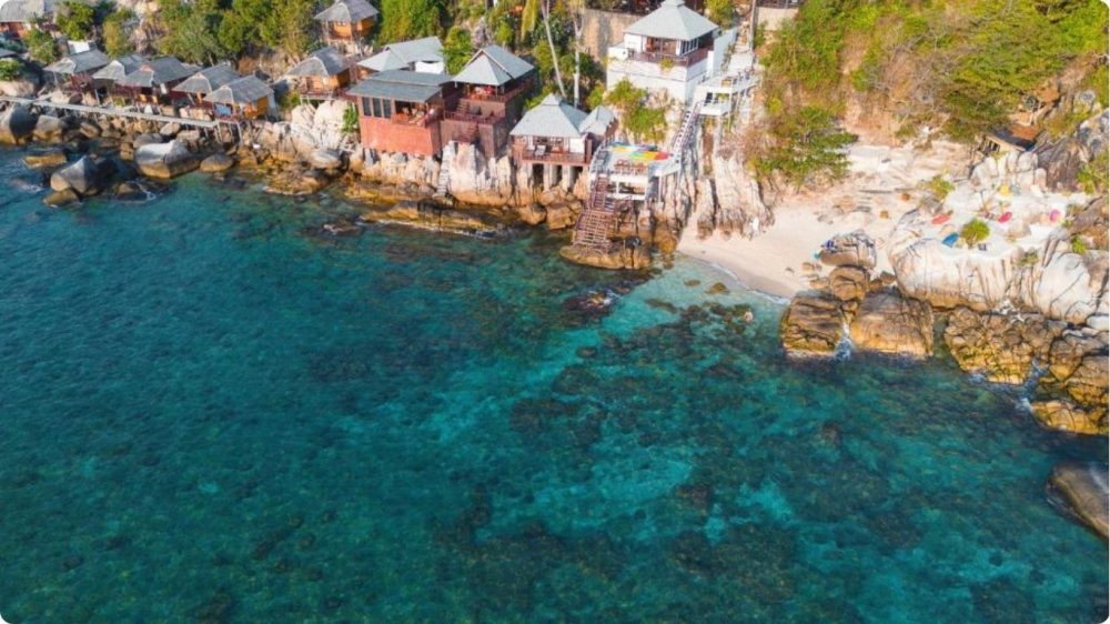 Cruise vs Resort Vacation Pure Joy