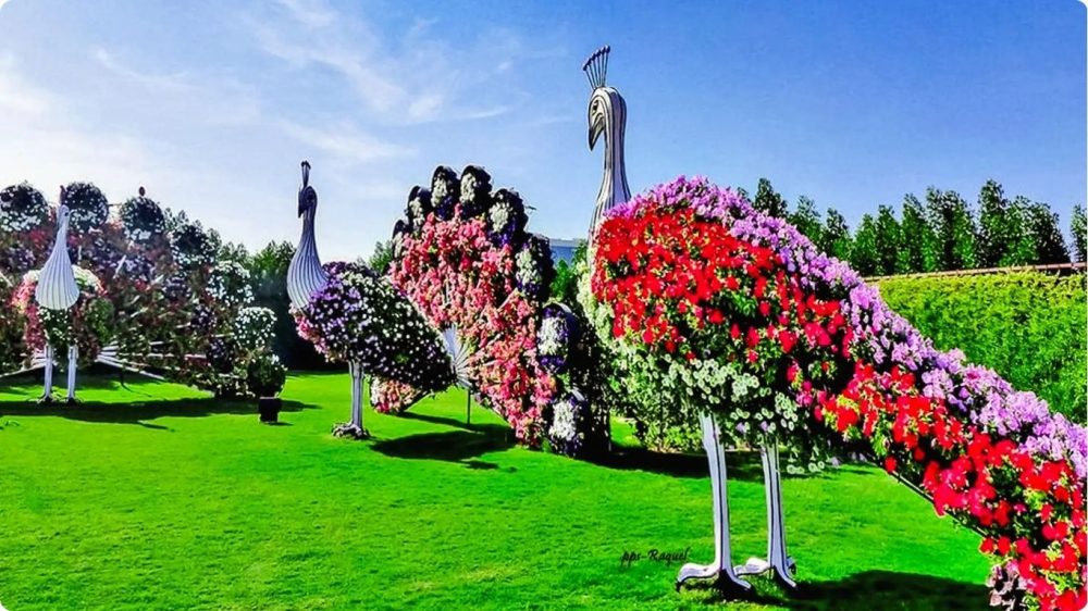 Dubai Miracle Garden